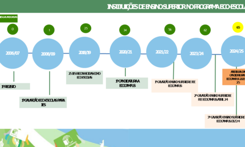 Diapositivo20