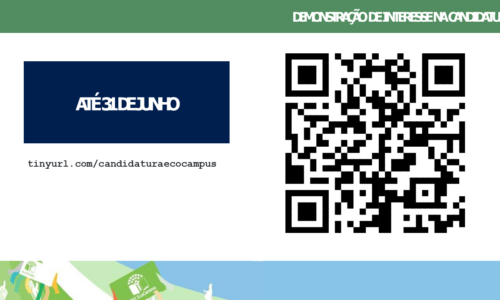 Diapositivo49